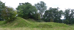 Weobley Castle